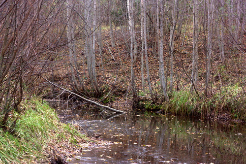 IMG 2764.jpg