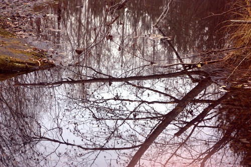 IMG 2770.jpg