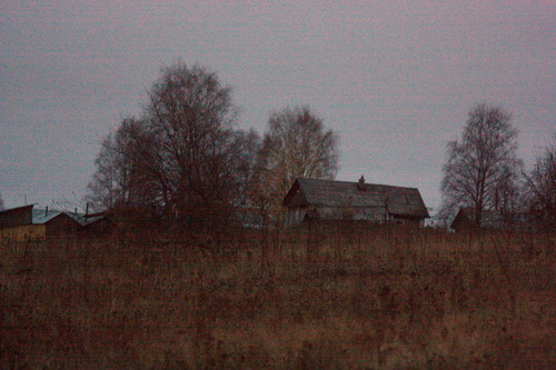 IMG 2855b.jpg