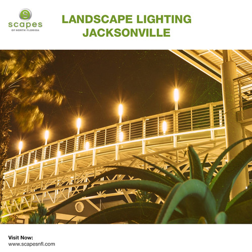 LANDSCAPE LIGHTING JACKSONVILLE.jpg