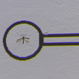 Symbol; Publicdomain; Cc0; Freeimage;