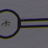 Symbol; Publicdomain; Cc0; Freeimage;