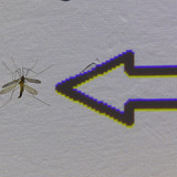 Symbol; Publicdomain; Cc0; Freeimage;