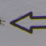 Symbol; Publicdomain; Cc0; Freeimage;
