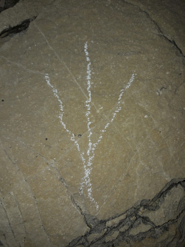 Symbol; Publicdomain; Cc0; Freeimage;.jpg