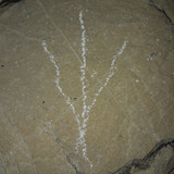 Symbol; Publicdomain; Cc0; Freeimage;