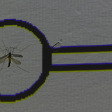 Symbol; Publicdomain; Cc0; Freeimage;