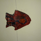 Fish; Publicdomain; Cc0; Freeimage;