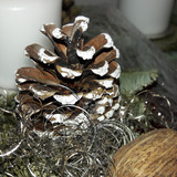 Decoration; Publicdomain; Cc0; Freeimage;