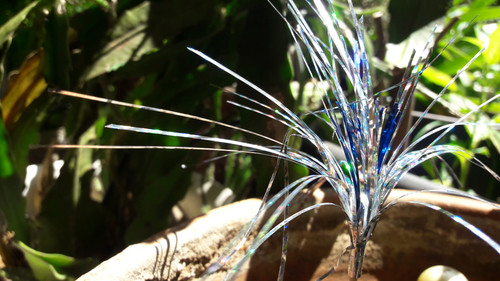 Decoration; Publicdomain; Cc0; Freeimage;.jpg