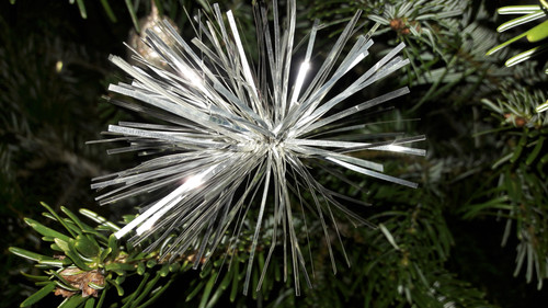 Decoration; Publicdomain; Cc0; Freeimage;.jpg