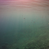 Fish; Publicdomain; Cc0; Freeimage;