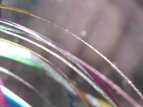 Decoration; Publicdomain; Cc0; Freeimage;.jpg