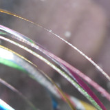 Decoration; Publicdomain; Cc0; Freeimage;