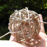 Artificial Decoration Design Art Publicdomain (21)