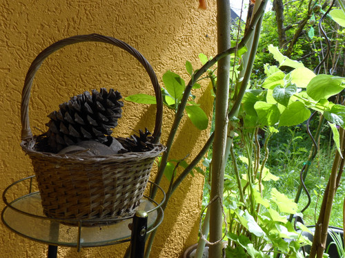 Decoration; Publicdomain; Cc0; Freeimage;.jpg