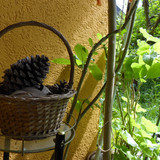 Decoration; Publicdomain; Cc0; Freeimage;