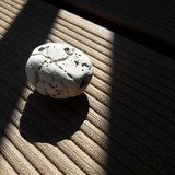 Detail; Publicdomain; Cc0; Freeimage;