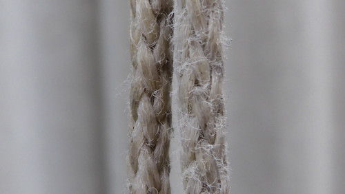 Decoration; Publicdomain; Cc0; Freeimage;.jpg