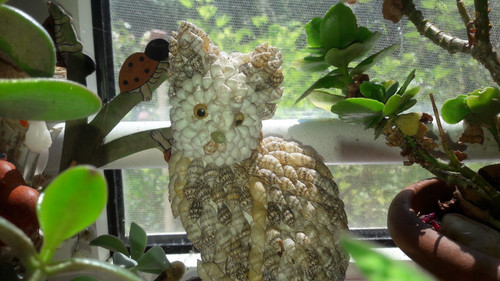 Cat; Publicdomain; Cc0; Freeimage;.jpg