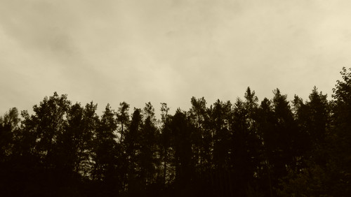 Abstract; Publicdomain; Cc0; Freeimage;.jpg