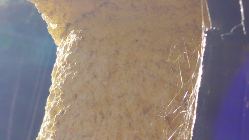 Abstract; Publicdomain; Cc0; Freeimage;.jpg