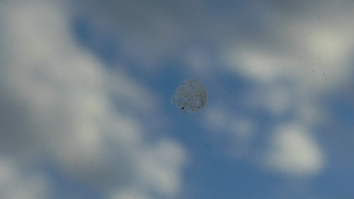 Abstract; Publicdomain; Cc0; Freeimage;.jpg