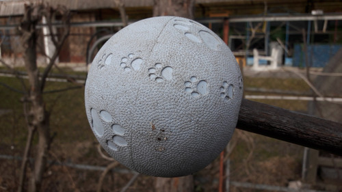 Toy; Publicdomain; Cc0; Freeimage;.jpg