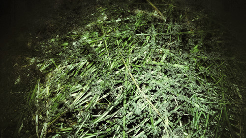 Abstract; Publicdomain; Cc0; Freeimage;.jpg