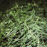 Abstract; Publicdomain; Cc0; Freeimage;