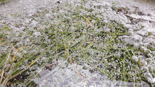 Abstract; Publicdomain; Cc0; Freeimage;.jpg