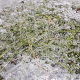 Abstract; Publicdomain; Cc0; Freeimage;