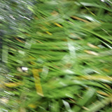 Abstract; Publicdomain; Cc0; Freeimage;