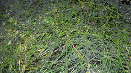 Abstract; Publicdomain; Cc0; Freeimage;.jpg