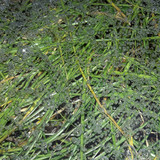 Abstract; Publicdomain; Cc0; Freeimage;