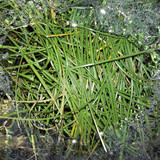 Abstract; Publicdomain; Cc0; Freeimage;
