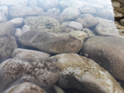 Water On The Rocks.jpg