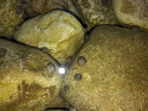 Water On The Rocks.jpg