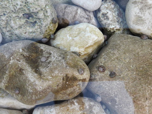 Water On The Rocks.jpg