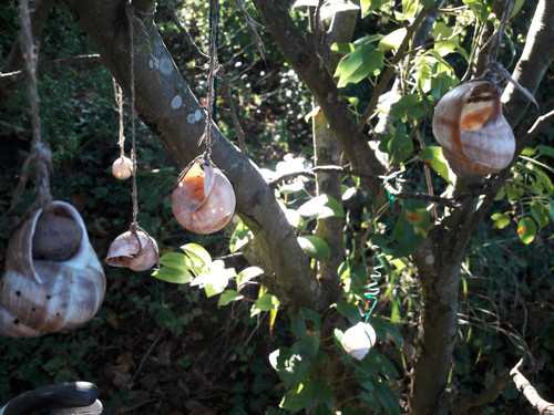 Garden Deko Tips Snails.jpg