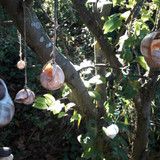 Garden Deko Tips Snails