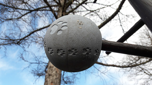 Toy; Publicdomain; Cc0; Freeimage;.jpg