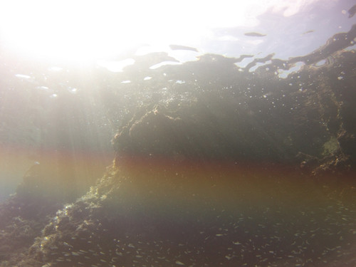 Fish; Publicdomain; Cc0; Freeimage;.jpg