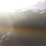 Fish; Publicdomain; Cc0; Freeimage;