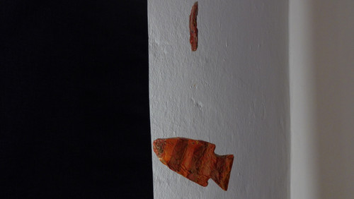 Fish; Publicdomain; Cc0; Freeimage;.jpg