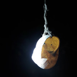 Hanging Snail At Night