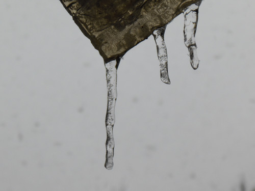 Cold Ice Crystal Publicdomain (14)