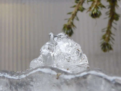 Cold Ice Crystal Publicdomain (16).jpg