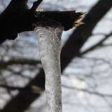 Cold Ice Crystal Publicdomain (25)