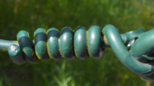 Detail; Publicdomain; Cc0; Freeimage;.jpg